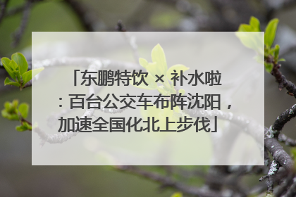 东鹏特饮 × 补水啦：百台公交车布阵沈阳，加速全国化北上步伐