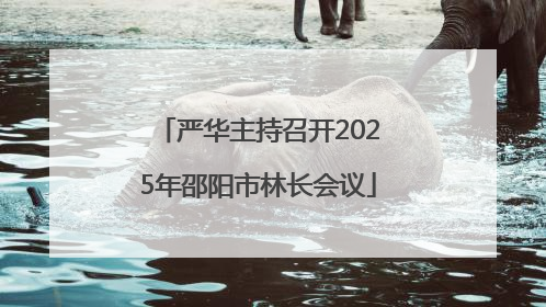 严华主持召开2025年邵阳市林长会议