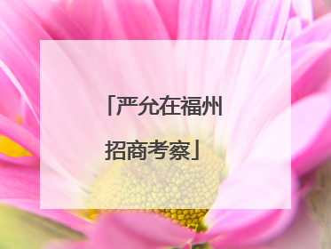 严允在福州招商考察