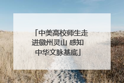 中美高校师生走进徽州灵山 感知中华文脉基底