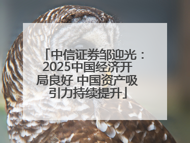 中信证券邹迎光：2025中国经济开局良好 中国资产吸引力持续提升