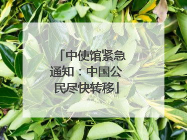 中使馆紧急通知：中国公民尽快转移
