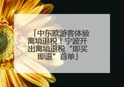 中东欧游客体验离境退税！宁波开出离境退税“即买即退”首单