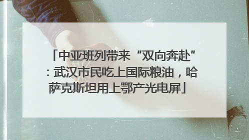 中亚班列带来“双向奔赴”：武汉市民吃上国际粮油，哈萨克斯坦用上鄂产光电屏