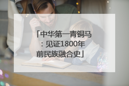 中华第一青铜马：见证1800年前民族融合史