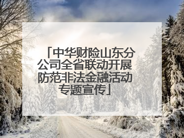 中华财险山东分公司全省联动开展防范非法金融活动专题宣传