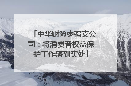 中华财险枣强支公司：将消费者权益保护工作落到实处