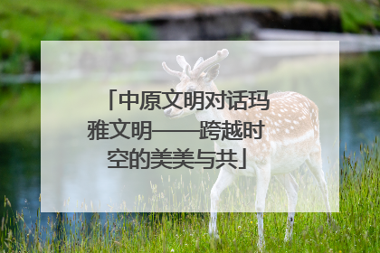 中原文明对话玛雅文明——跨越时空的美美与共