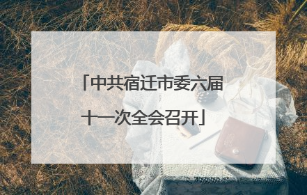 中共宿迁市委六届十一次全会召开
