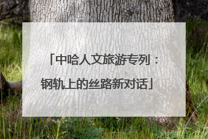 中哈人文旅游专列：钢轨上的丝路新对话