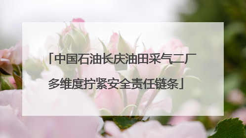 中国石油长庆油田采气二厂多维度拧紧安全责任链条