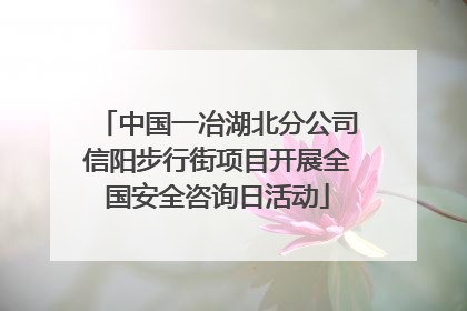 中国一冶湖北分公司信阳步行街项目开展全国安全咨询日活动