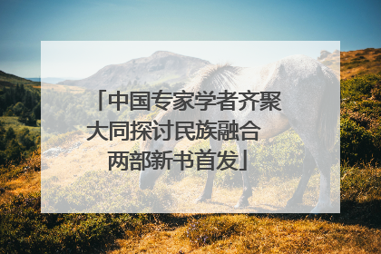 中国专家学者齐聚大同探讨民族融合 两部新书首发