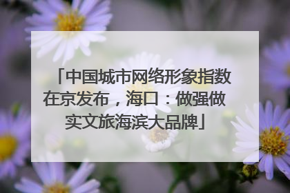 中国城市网络形象指数在京发布，海口：做强做实文旅海滨大品牌