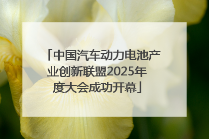 中国汽车动力电池产业创新联盟2025年度大会成功开幕