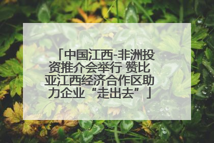 中国江西-非洲投资推介会举行 赞比亚江西经济合作区助力企业“走出去”