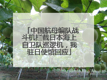 中国航母编队战斗机拦截日本海上自卫队巡逻机，我驻日使馆回应