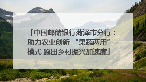 中国邮储银行菏泽市分行：助力农业创新 “果蔬两用”模式 跑出乡村振兴加速度