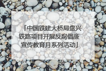 中国铁建大桥局盘兴铁路项目开展反腐倡廉宣传教育月系列活动