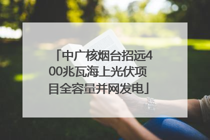中广核烟台招远400兆瓦海上光伏项目全容量并网发电