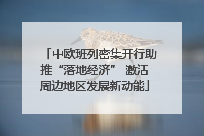中欧班列密集开行助推“落地经济” 激活周边地区发展新动能
