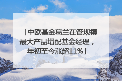 中欧基金葛兰在管规模最大产品增配基金经理，年初至今涨超11%