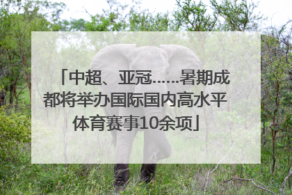 中超、亚冠……暑期成都将举办国际国内高水平体育赛事10余项