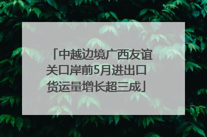 中越边境广西友谊关口岸前5月进出口货运量增长超三成