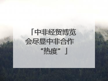 中非经贸博览会尽显中非合作“热度”