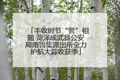 丰收时节“警”相随 菏泽成武县公安局南鲁集派出所全力护航大蒜收获季