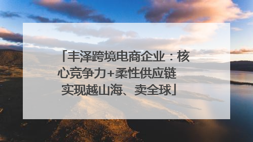 丰泽跨境电商企业：核心竞争力+柔性供应链 实现越山海、卖全球