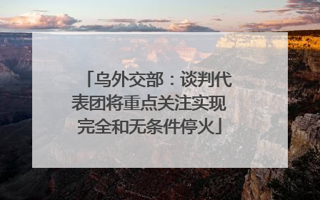 乌外交部：谈判代表团将重点关注实现完全和无条件停火