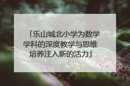 乐山城北小学为数学学科的深度教学与思维培养注入新的活力