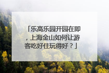 乐高乐园开园在即，上海金山如何让游客吃好住玩得好？