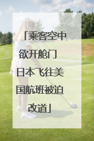 乘客空中欲开舱门 日本飞往美国航班被迫改道