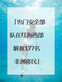 也门安全部队在红海西部解救177名非洲移民