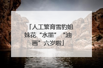 人工繁育雪豹姐妹花“水墨”“油画”六岁啦