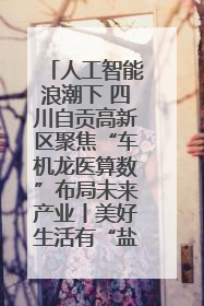 人工智能浪潮下 四川自贡高新区聚焦“车机龙医算数”布局未来产业丨美好生活有“盐”味