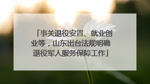 事关退役安置、就业创业等，山东出台法规明确退役军人服务保障工作