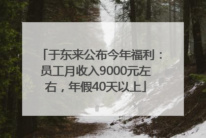 于东来公布今年福利：员工月收入9000元左右，年假40天以上