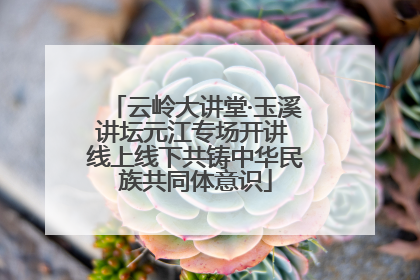 云岭大讲堂·玉溪讲坛元江专场开讲 线上线下共铸中华民族共同体意识