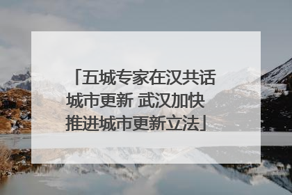 五城专家在汉共话城市更新 武汉加快推进城市更新立法