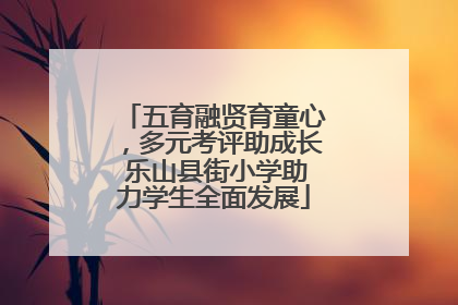 五育融贤育童心，多元考评助成长 乐山县街小学助力学生全面发展