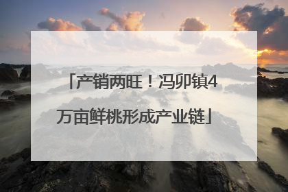 产销两旺！冯卯镇4万亩鲜桃形成产业链