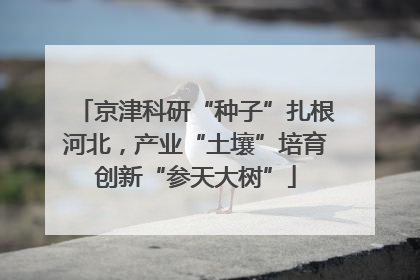 京津科研“种子”扎根河北，产业“土壤”培育创新“参天大树”