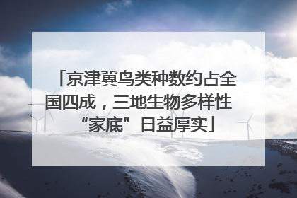 京津冀鸟类种数约占全国四成，三地生物多样性“家底”日益厚实