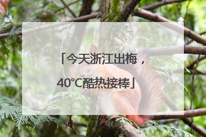 今天浙江出梅，40℃酷热接棒