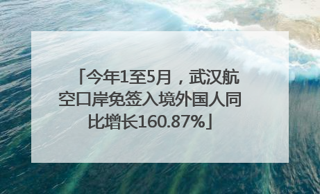 今年1至5月，武汉航空口岸免签入境外国人同比增长160.87%