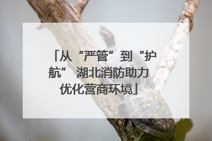 从“严管”到“护航” 湖北消防助力优化营商环境