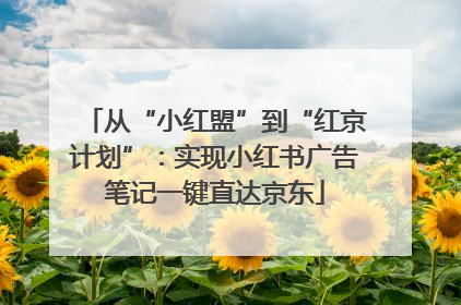 从“小红盟”到“红京计划”：实现小红书广告笔记一键直达京东